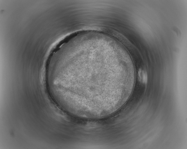 X0000113340388200910131223