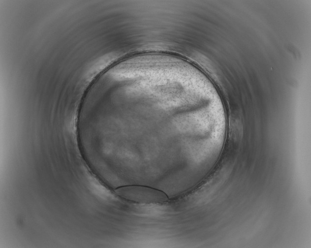 X0000113340389200910131223