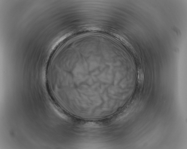 X0000113340390200910131223
