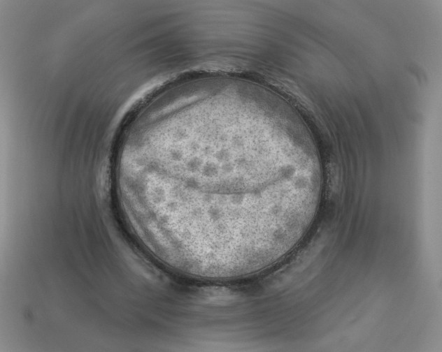 X0000113340392200910131223