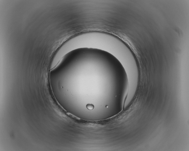 X0000113340393200910131223