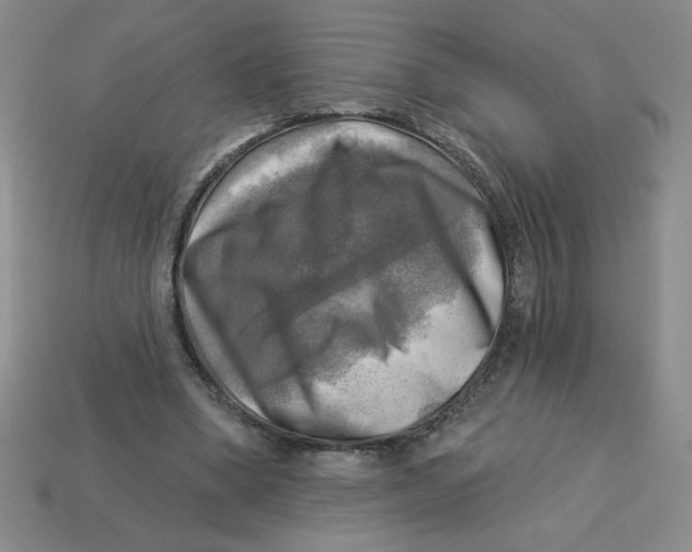 X0000113340394200910131223