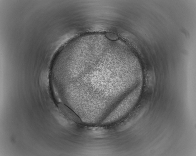 X0000113340395200910131223