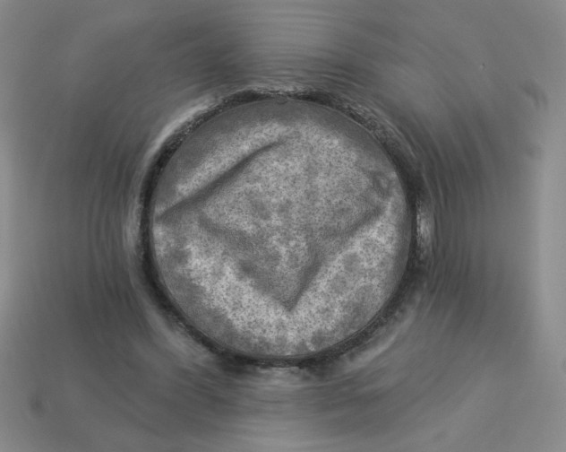 X0000113340396200910131223