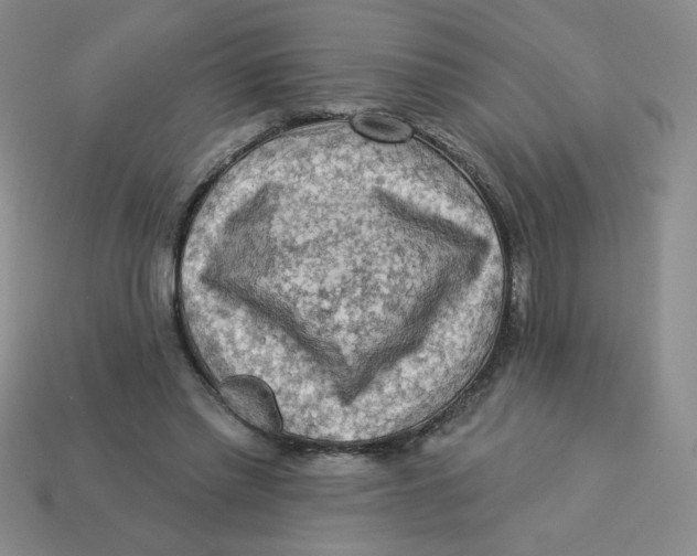 X0000113340397200910131223