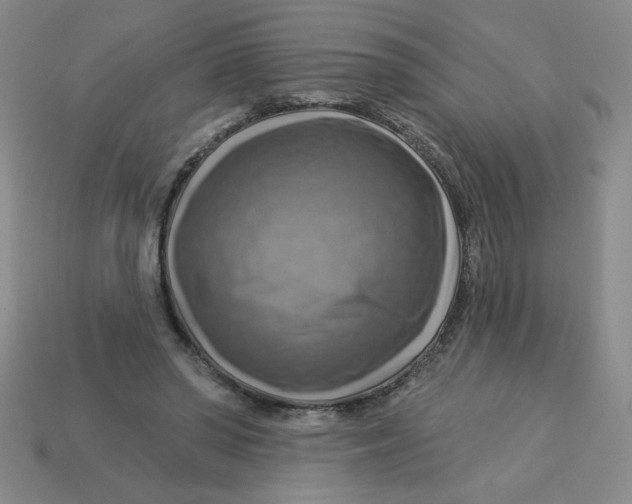 X0000113340398200910131223