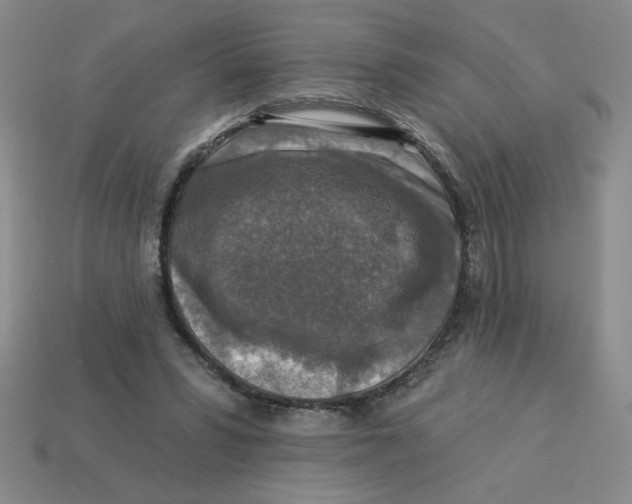 X0000113340399200910131223