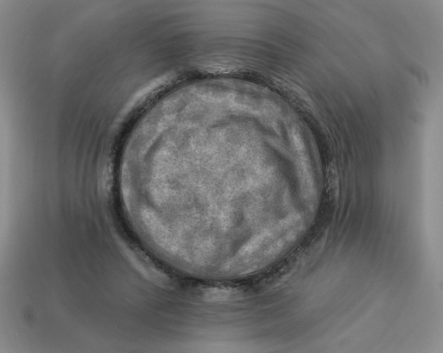 X0000113340400200910131223