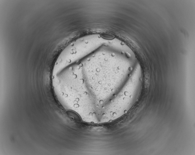 X0000113340401200910131223