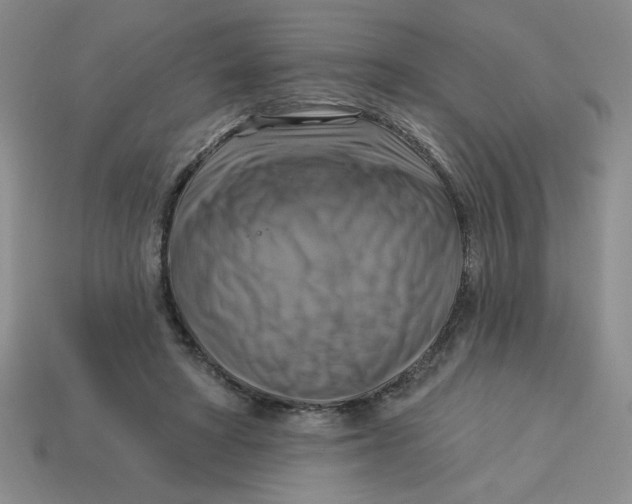 X0000113340402200910131223