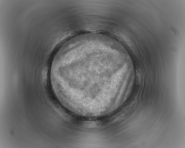 X0000113340404200910131223