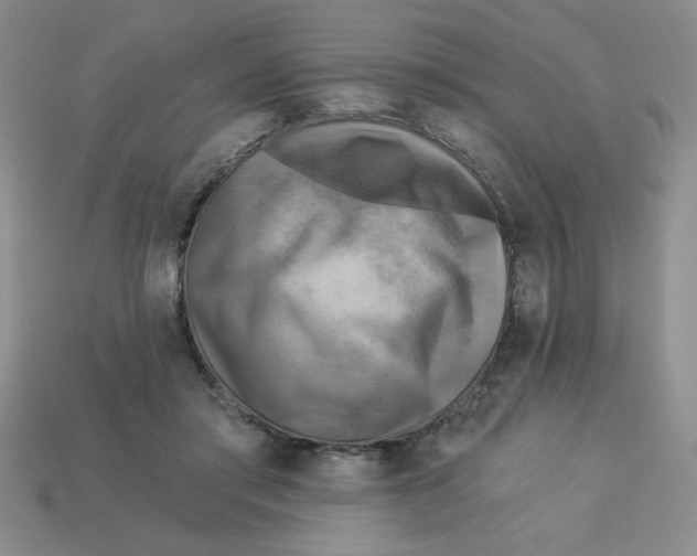 X0000113340405200910131223