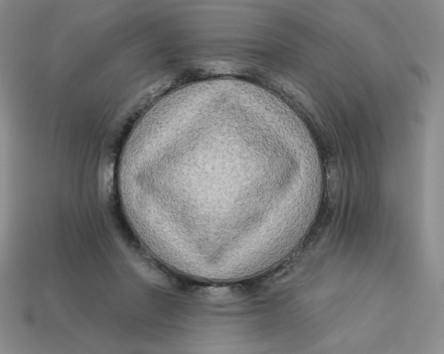 X0000113340406200910131223