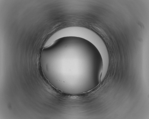 X0000113340409200910131223