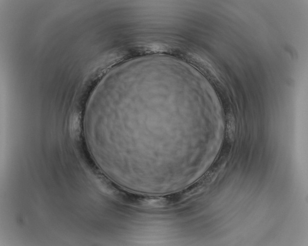 X0000113340410200910131223