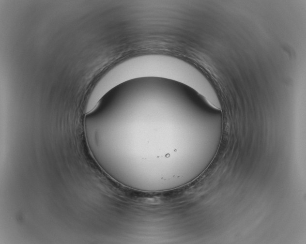 X0000113340411200910131223