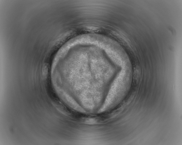 X0000113340412200910131223