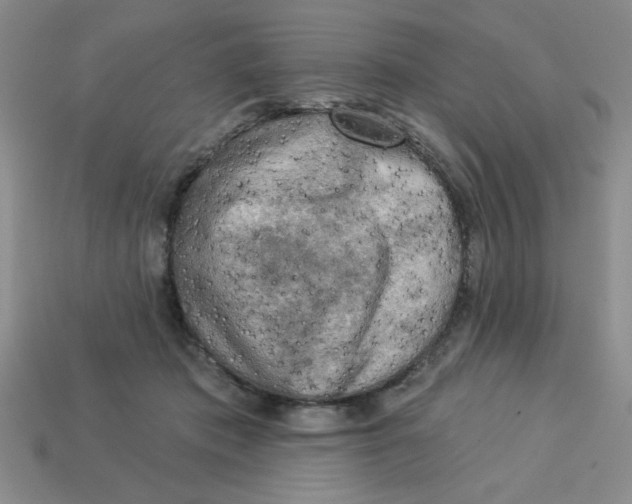 X0000113340413200910131223