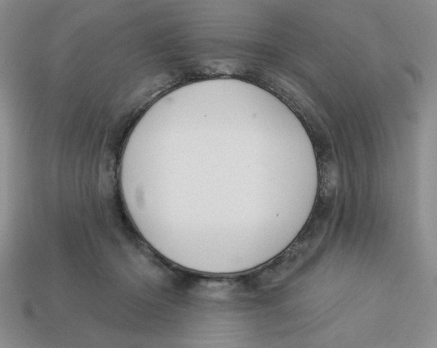 X0000113340414200910131223