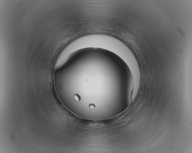 X0000113340415200910131222