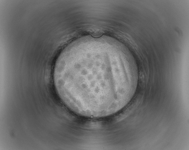 X0000113340416200910131222