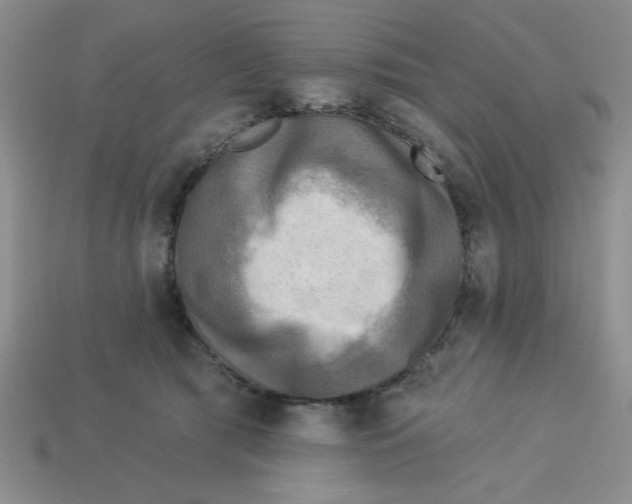 X0000113340417200910131222