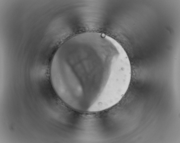 X0000113340419200910131222