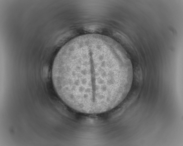 X0000113340420200910131222
