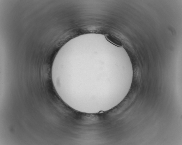 X0000113340421200910131222