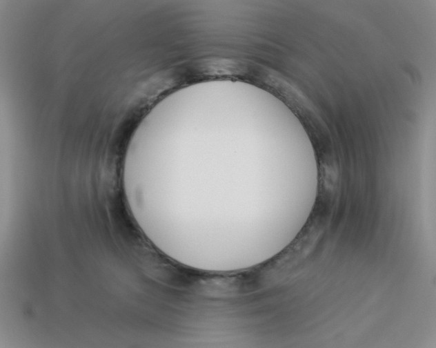 X0000113340422200910131222