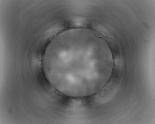 X0000113340423200910131222
