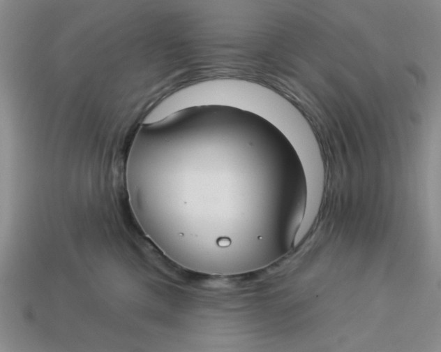 X0000113340425200910131222