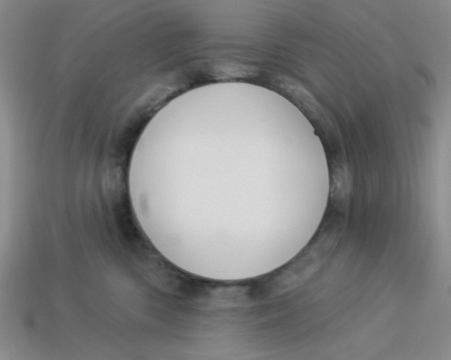 X0000113340426200910131222