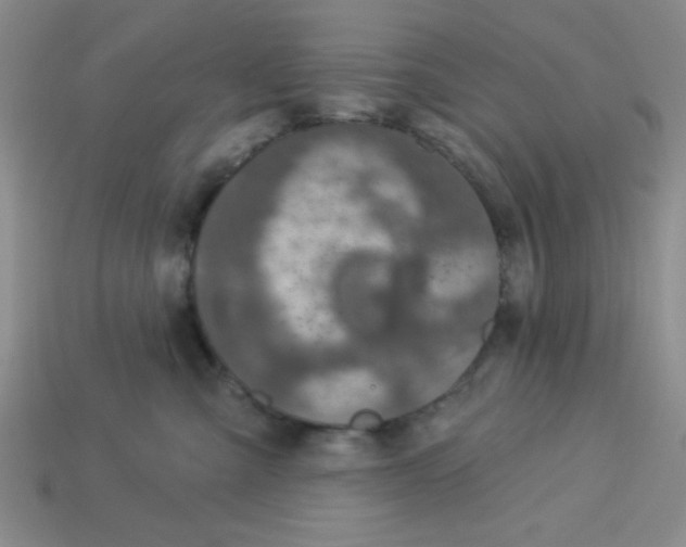 X0000113340427200910131222