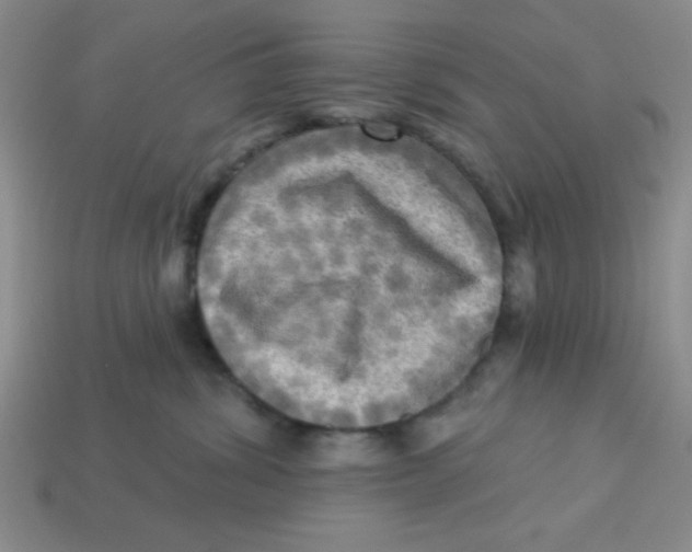 X0000113340428200910131222
