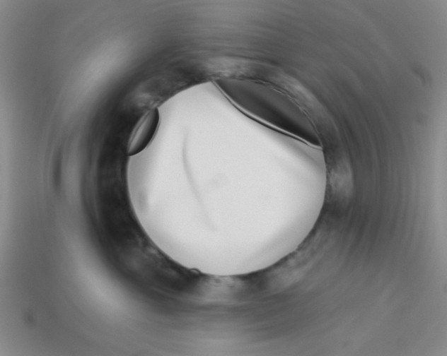 X0000113340429200910131222