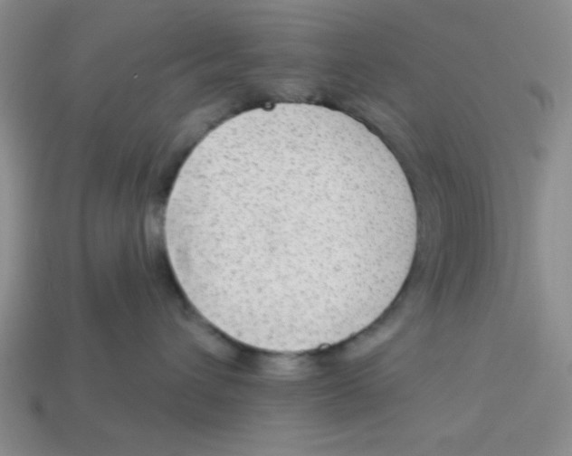 X0000113340432200910131222