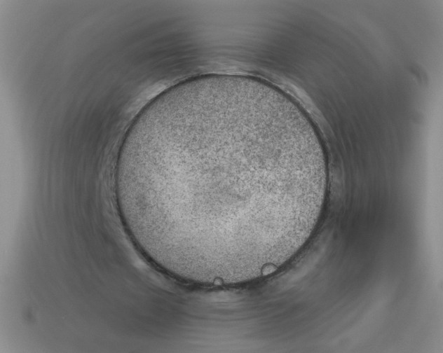 X0000113340433200910131221