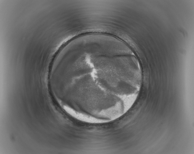 X0000113340434200910131221