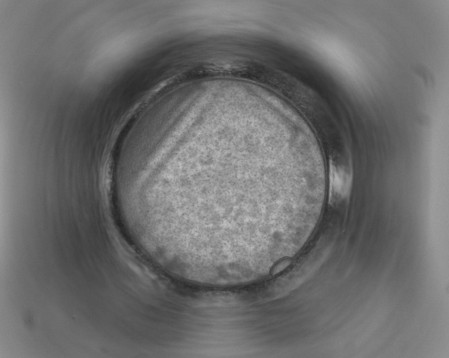X0000113340435200910131221
