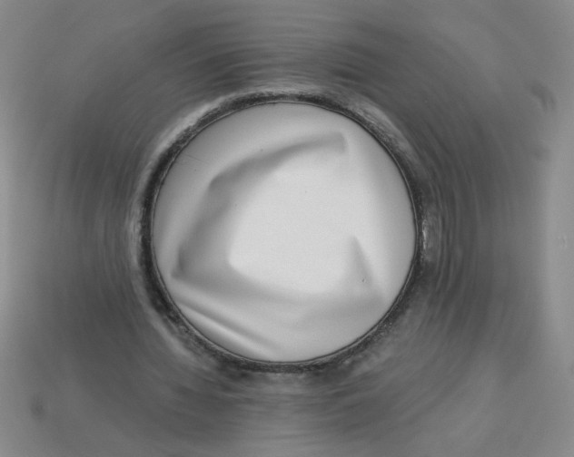 X0000113340436200910131222