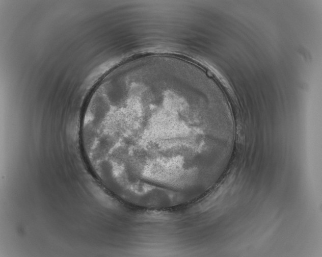 X0000113340437200910131222