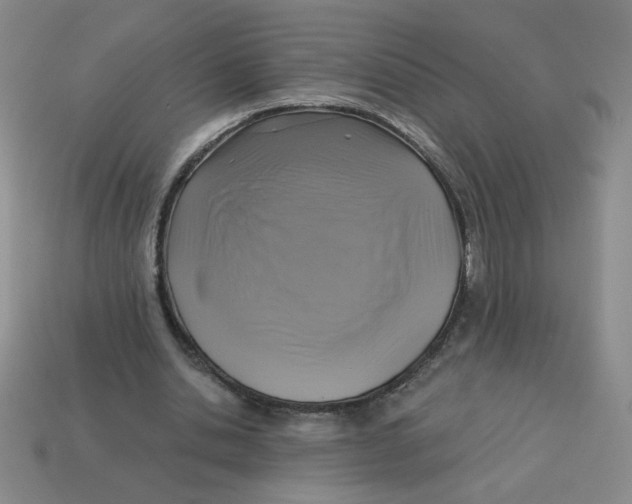 X0000113340438200910131222