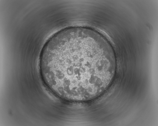 X0000113340439200910131222