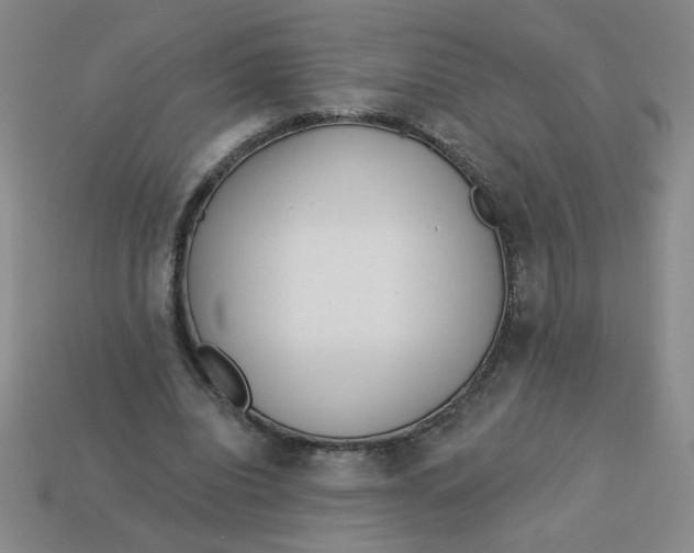 X0000113340440200910131222