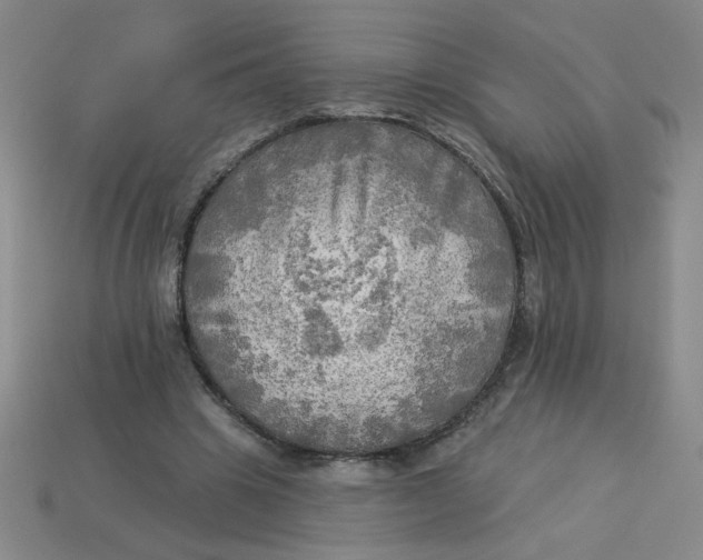 X0000113340441200910131222