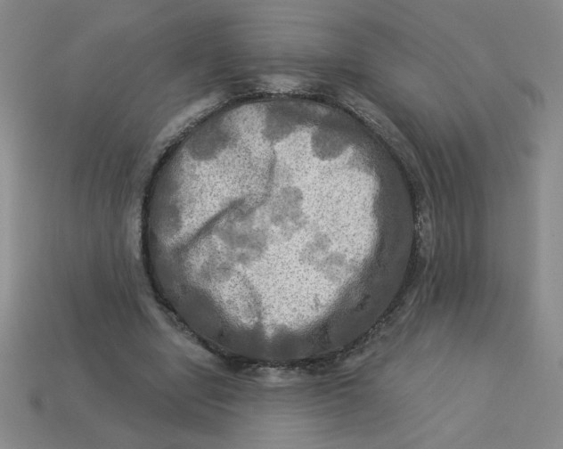 X0000113340442200910131222