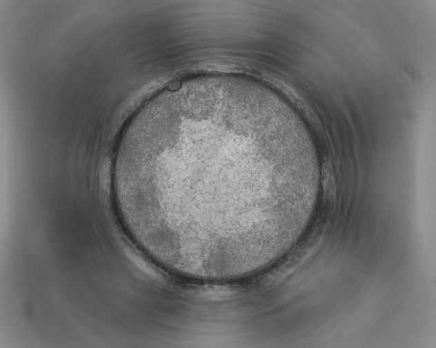 X0000113340445200910131222