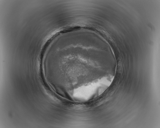 X0000113340446200910131222