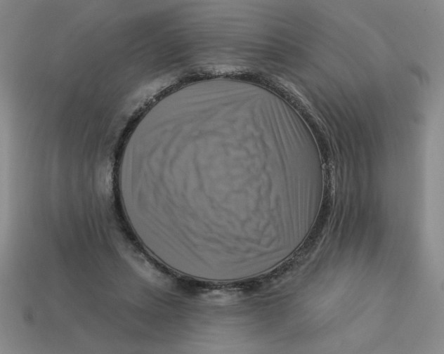 X0000113340447200910131222